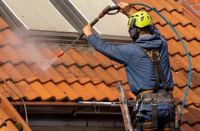 Démoussage et hydrofuge de toiture à Destrousse